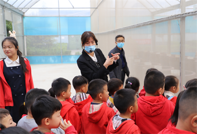 與“醬”同行，玩出快樂——金色童年幼兒園親子游活動